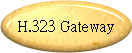 H.323 Gateway