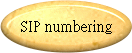 SIP numbering